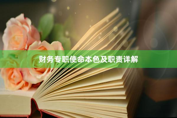 财务专职使命本色及职责详解