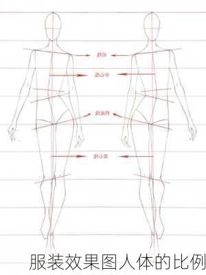 服装效果图人体的比例