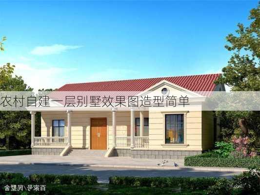 农村自建一层别墅效果图造型简单