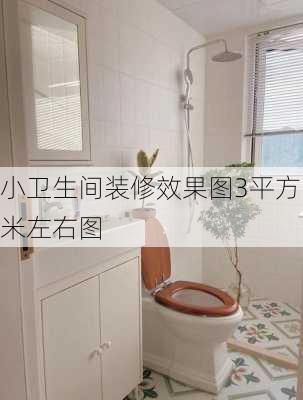 小卫生间装修效果图3平方米左右图