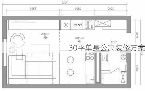 30平单身公寓装修方案