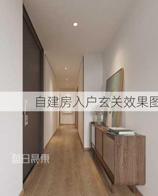 自建房入户玄关效果图