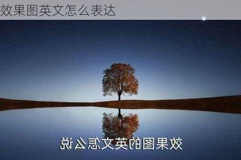 效果图英文怎么表达