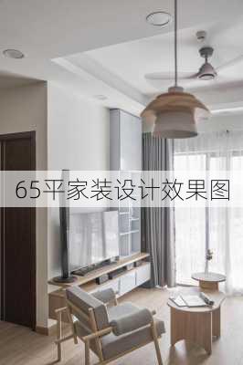 65平家装设计效果图