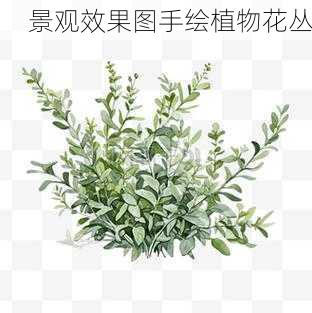 景观效果图手绘植物花丛